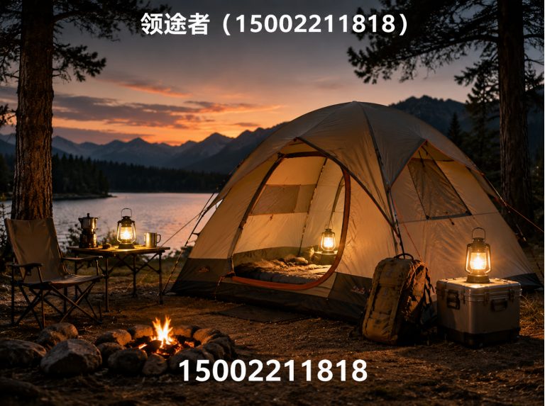 天津领途者展示图